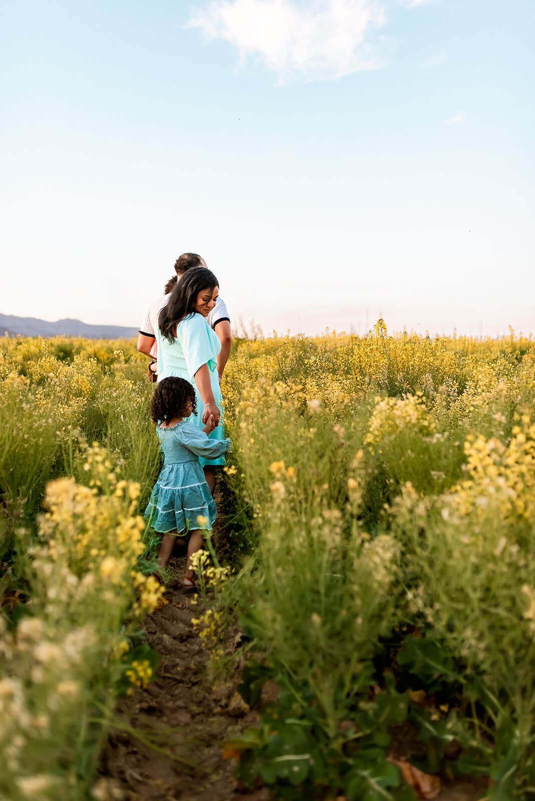 Family walks away in a beautiful field of yellow flowers.