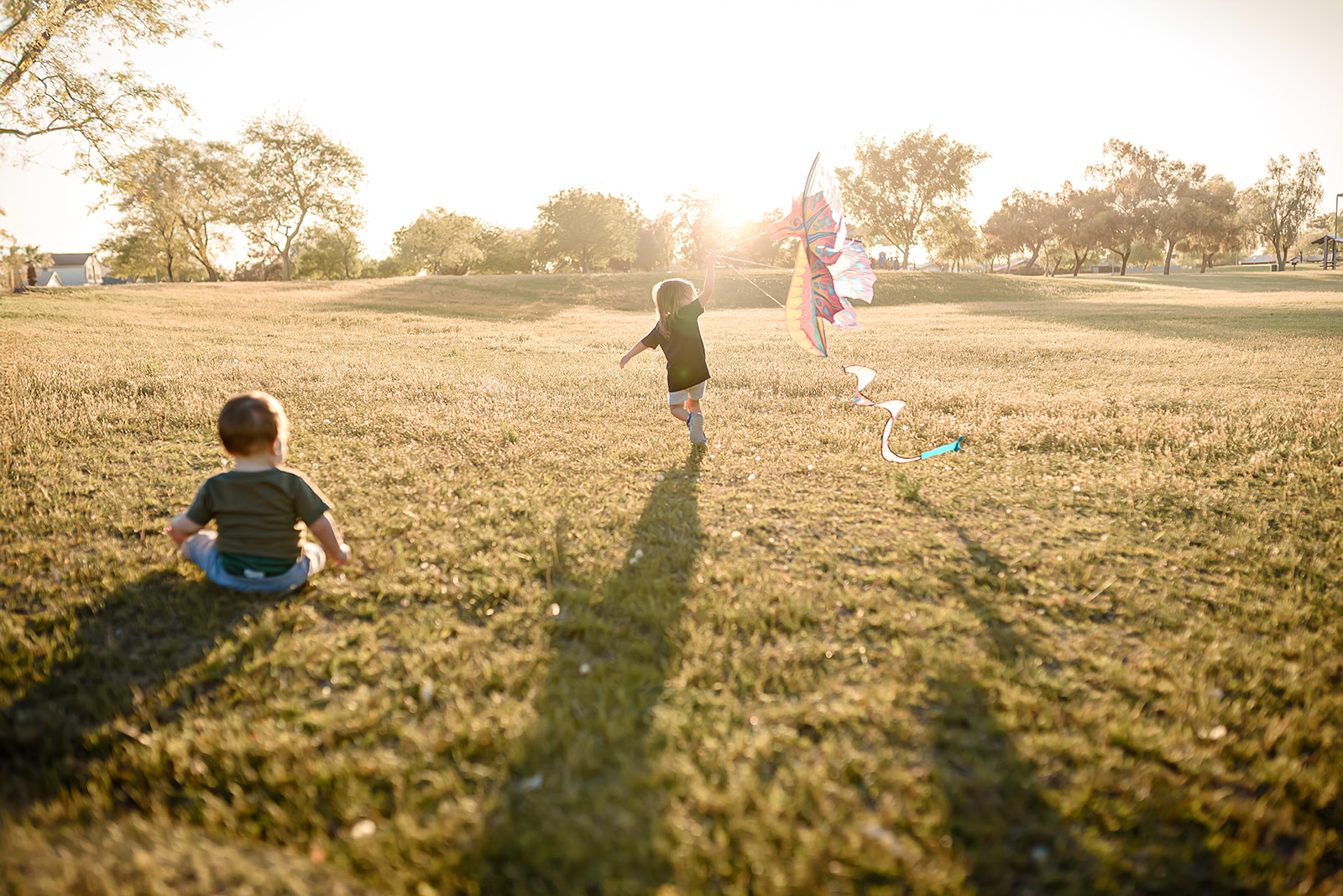 Little girl runs to fly a kite while her little brother sits on golden grass watching her.