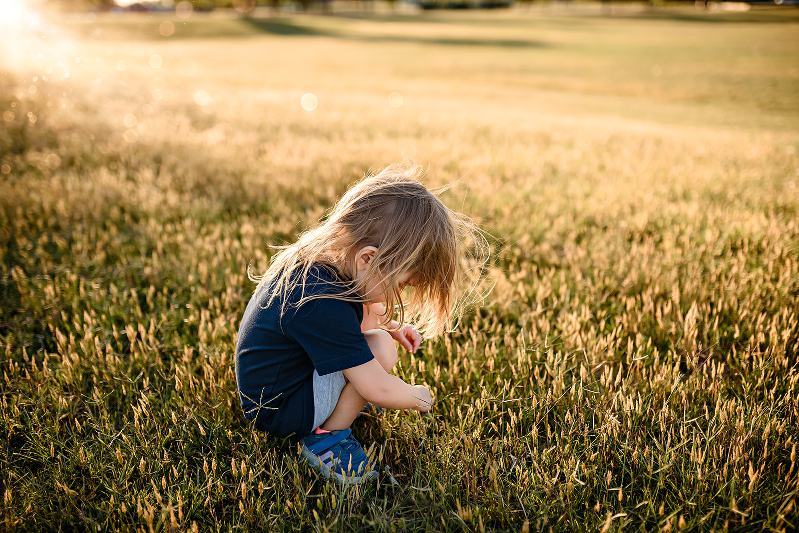 Little girl crouches down looking and exploring golden colored grass