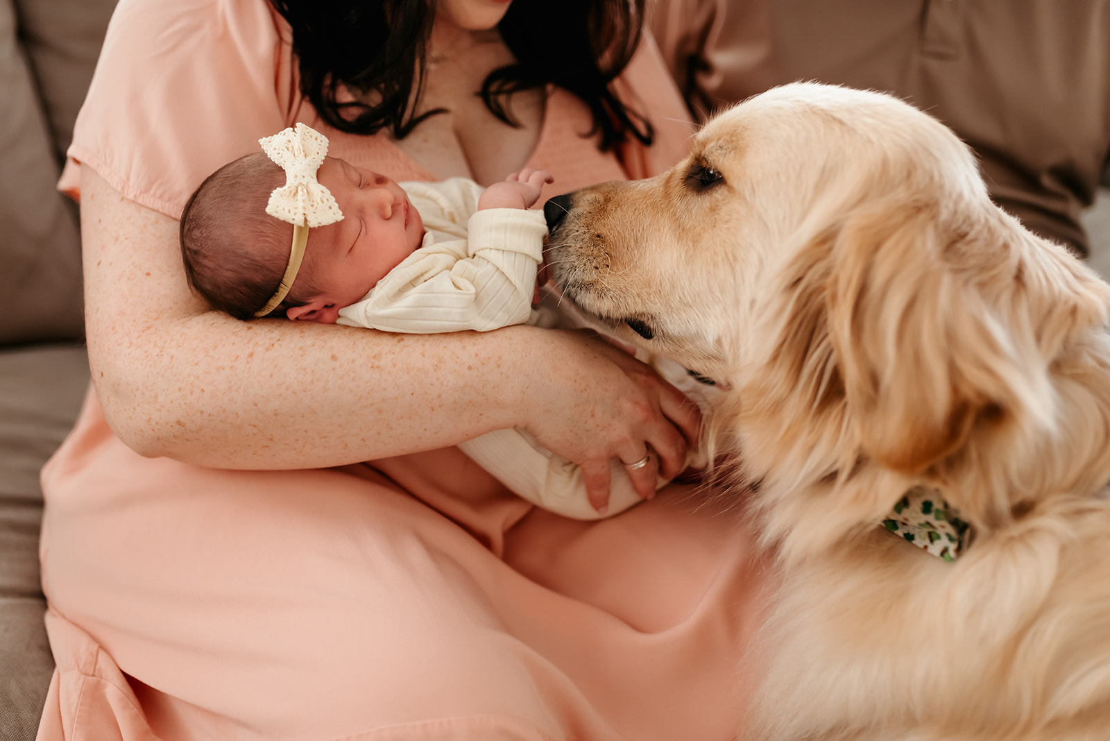 Dog sniffs at newborn baby while Mom holds her and sits on a couch.